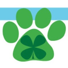 Personalized dog bowls, treat jars & more! Facebook- http://t.co/pQFIEjZXK6