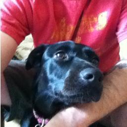 jarhead731's profile picture. 