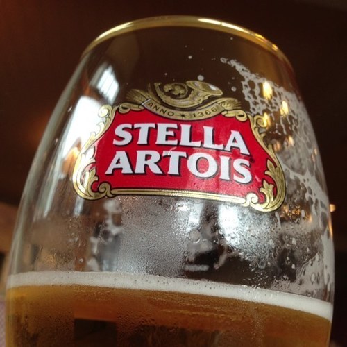 stevehowells1's profile picture. here for a good time, not a long time. this is NO rehearsal.