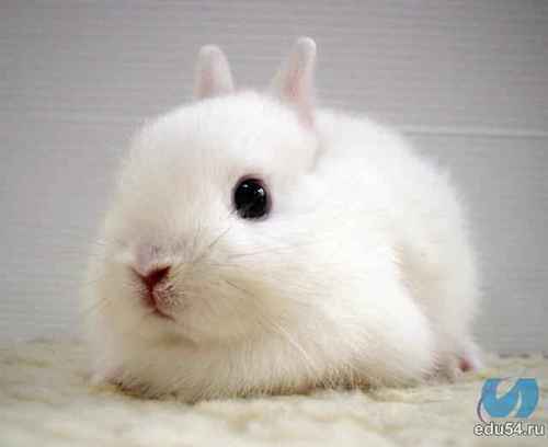 saxa2022's profile picture. 