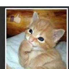 darkaxis05's profile picture. 