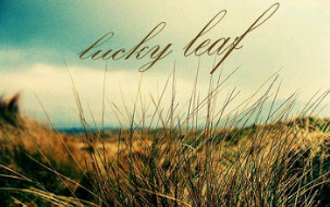 Lucky Leaf Apparel