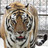 NewsShare_DJ's profile image