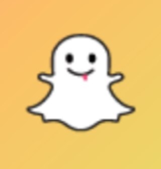 FREE FOLLOW