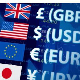 FOREX Trader and Editor Adsense