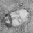 alexdcochrane's profile image