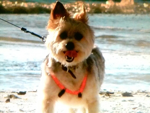 learnon7777777's profile picture. Don't Break the Rules, Rise Above Them and LIVE WITH PASSION :o)...Me??? I'm just her Daddy;))