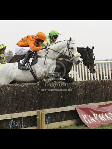 HarryStock's profile picture. 