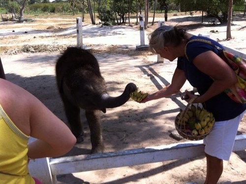 TeriMeister's profile picture. 