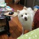 Roger Tsai - @RogerTsai0503 - Twitter