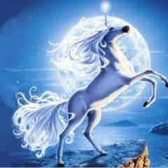 صهيل الإبداع