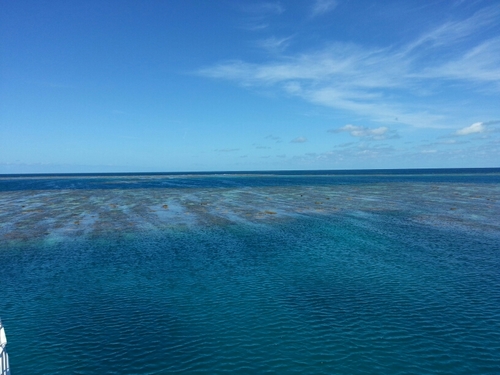 Marine Biologist on the Great Barrier Reef since 1994. A qualified teacher and DiveMaster who loves educating people about the world beneath the surface.