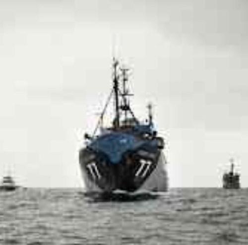 lucaskrestka's profile picture. 