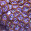 Ben Mortimer - @MortimerBen - Twitter