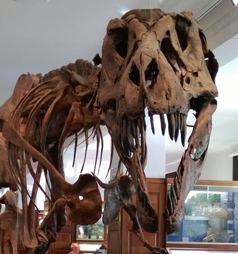 Nimril75's profile picture. Born, attended school and university, got a job and a family. Still alive, as you can see.