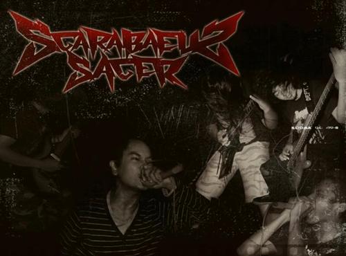 Scarabaeus Sacer