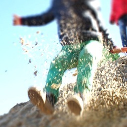 Picture