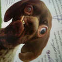 simon mark westhoff - @siwesty1968 - Twitter