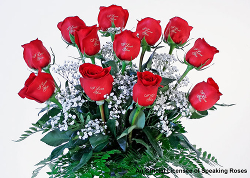 Die_Rosenpost's profile picture. Wir spezialisieren uns auf den Druck auf Blumen und Lasergravur.  Blumen-und Rosensträuße sind bei uns für jeden Anlass erhältlich. http://t.co/HcqZKqcu2I