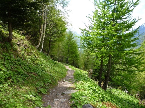 For luxury trail running holidays in the heart of the Chamonix valley.