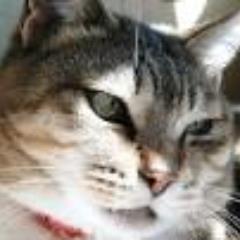 みなさまよろしく！