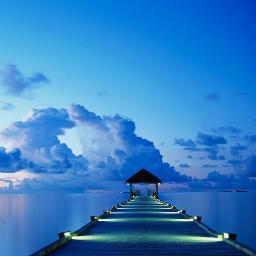 GetNCHealthIn's profile picture. Get NC Health Insurance is a full-service individual health insurance agency serving the state of North Carolina from the mountains to the coast.