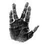mr_jump_jump's profile picture. To old for work, too poor to retire