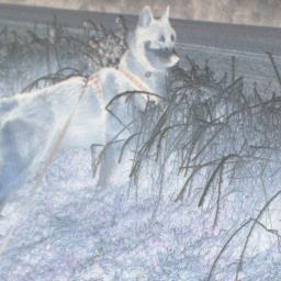 kanekington's profile picture. 