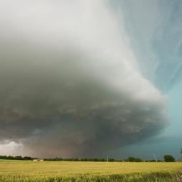 Assoc. Prof. of Meteorology @CMUniversity Severe Weather & Climate, Hail, Tornadoes Extreme Weather Impacts, Storm Chaser, Personal Account, Opinions my own