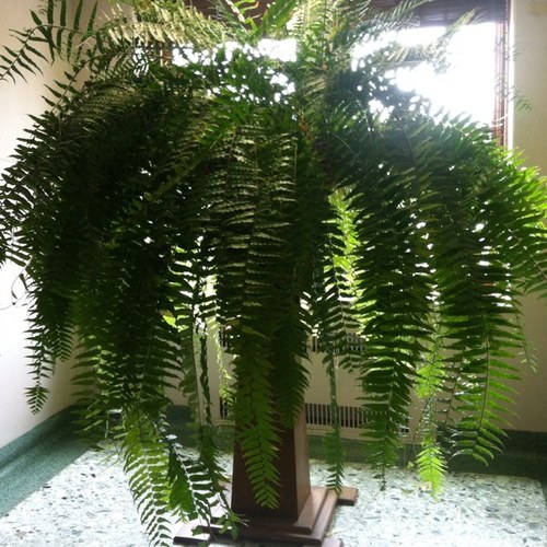 Personal account. Be the fern. Marketing Gal. Writer. Marathoner. Minnesota.
