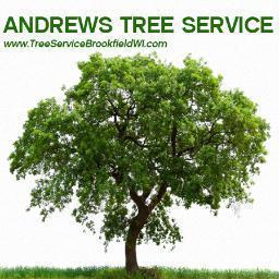 Live Free from Worries, Acquire Tree Service!