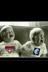 matthewcjm's profile picture. 