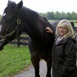johammock's profile picture. English-born American. Wife to Phil and mum to woofers Sig & Ava; ex-racehorse Tumster and ex -roper Ace ; donkeys Harry & Jasmine