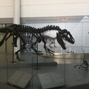 Thomas Vela - @thomasvela - Twitter