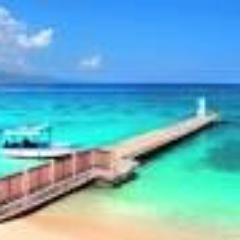 Freshest_Shoe's profile picture. 