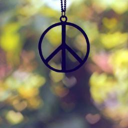 TeamxPeafri's profile picture. 