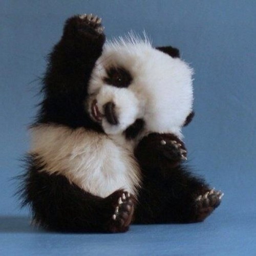 Cute, adorable and funny pics. Life is short....so SMILE!