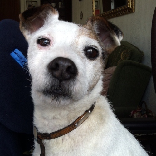 Lesetrangers's profile picture. “There’s more to life than books, you know … but not much more… “