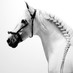 هيام (@anjeleya323) Twitter profile photo