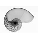 Nick Atkinson - @nakedcoral - Twitter