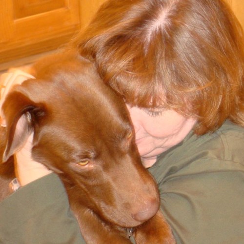Wife, Mother, Dog lover, Avid Needlepointer, proud American and Christian Conservative Texan.
