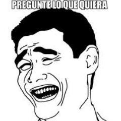 PreguntaXd's profile picture. 