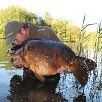 Ben Lofting (@benlofting) 's Twitter Profile