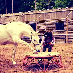 crazy#horselover