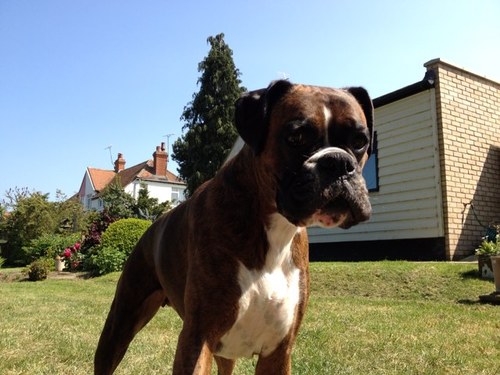 staffjje's profile picture. 