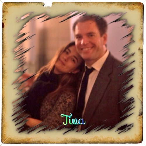 #NCISfangirl We want Cote back