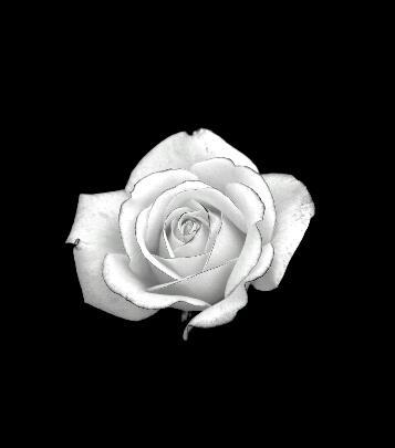 crackthemirror's profile picture. 