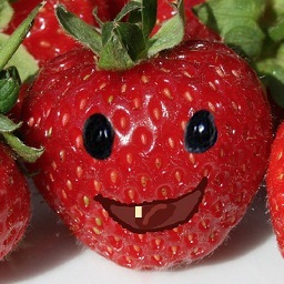 Harry the Strawberry never dies.