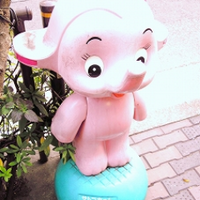 KNM (@knm2002) 's Twitter Profile Photo KNM (@knm2002) 's Twitter Profile Photo