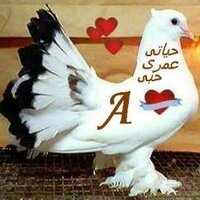 ahmed yaaout (@ahmedyaaout) Twitter profile photo